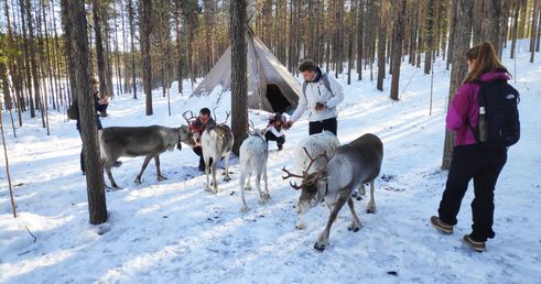 29 38 Lapland 8